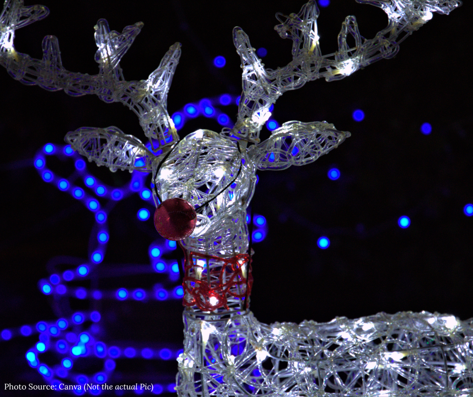 reindeer decoration with lights
