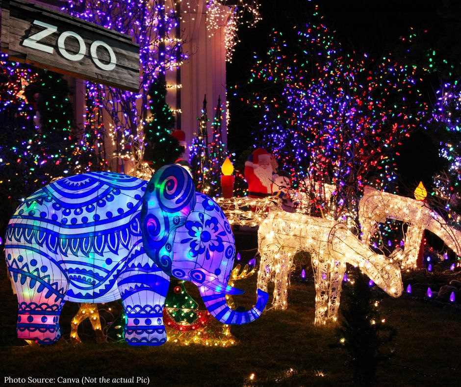 Life size animal theme with lights