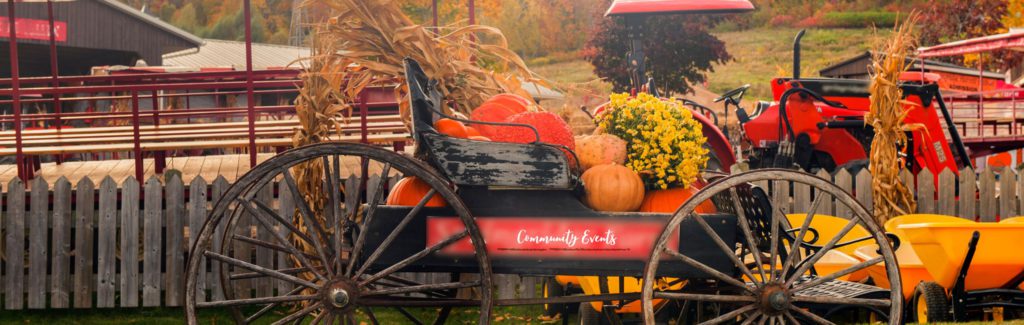 pumpkins in carriage