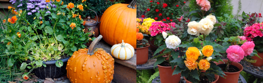 Gardening on the Fall