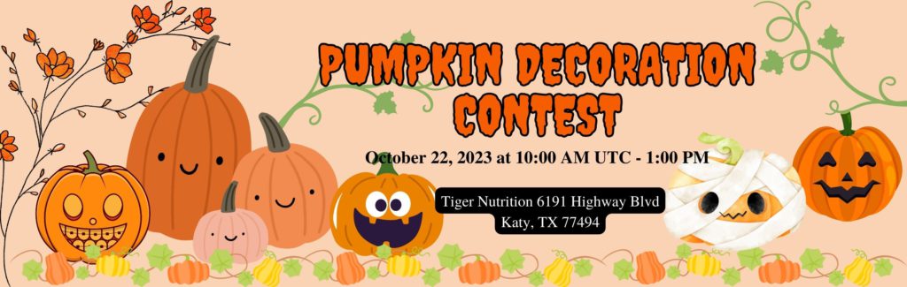 Pumpkin Decoration Contest